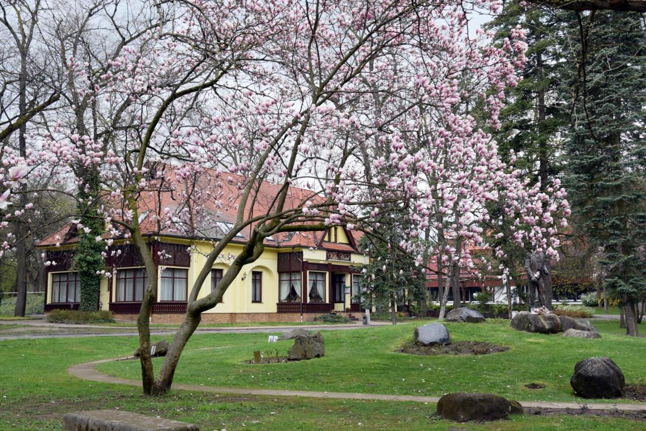 Villa Hotel Debrecen Exterior photo