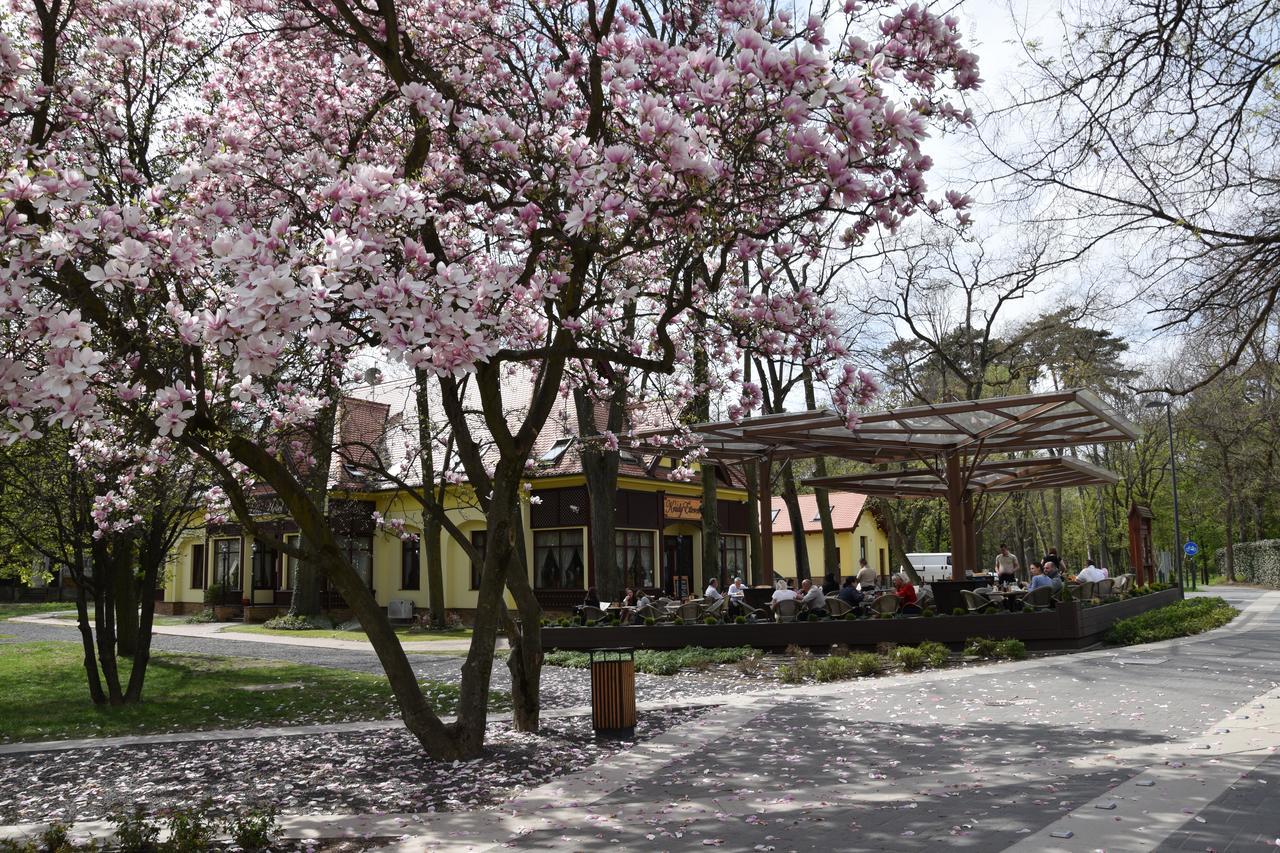 Villa Hotel Debrecen Exterior photo